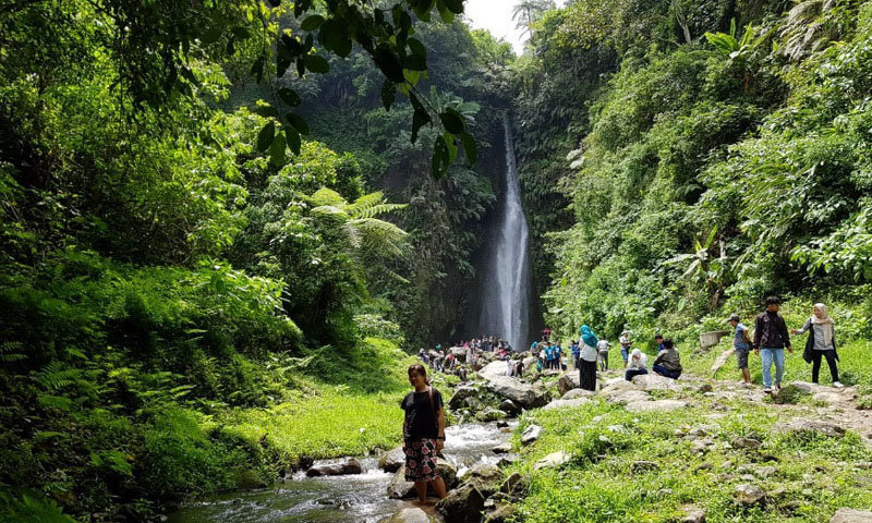 Pesona Terbaru, Keindahan Alam dan Budaya di 7 Destinasi Hits Kabupaten Tebo