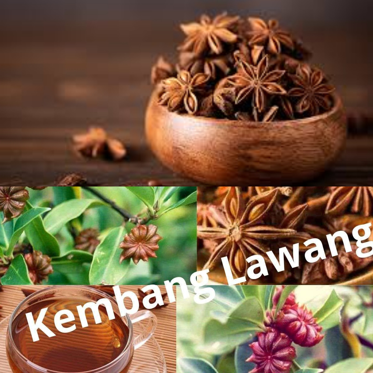  Manfaat Bunga Lawang untuk Kesehatan, Yuk Simak!