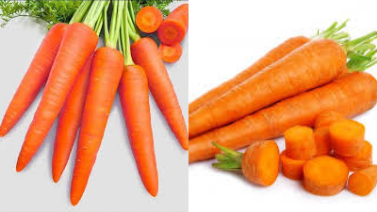 Jarang Diketahui Inilah Manfaat Wortel Untuk Kesehatan Yang Luar Biasa!