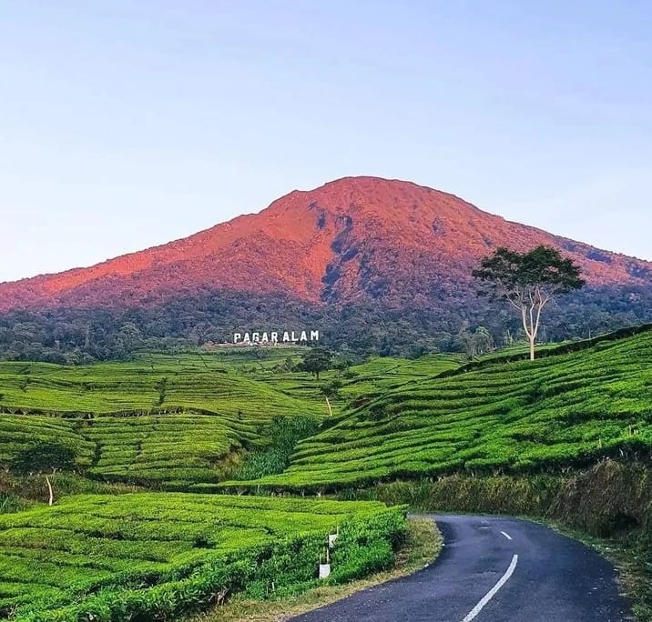 Tempat Healing Favorit Pendaki! Inilah 7 Gunung di Sumatera Yang Menyajikan Landaskap Alami