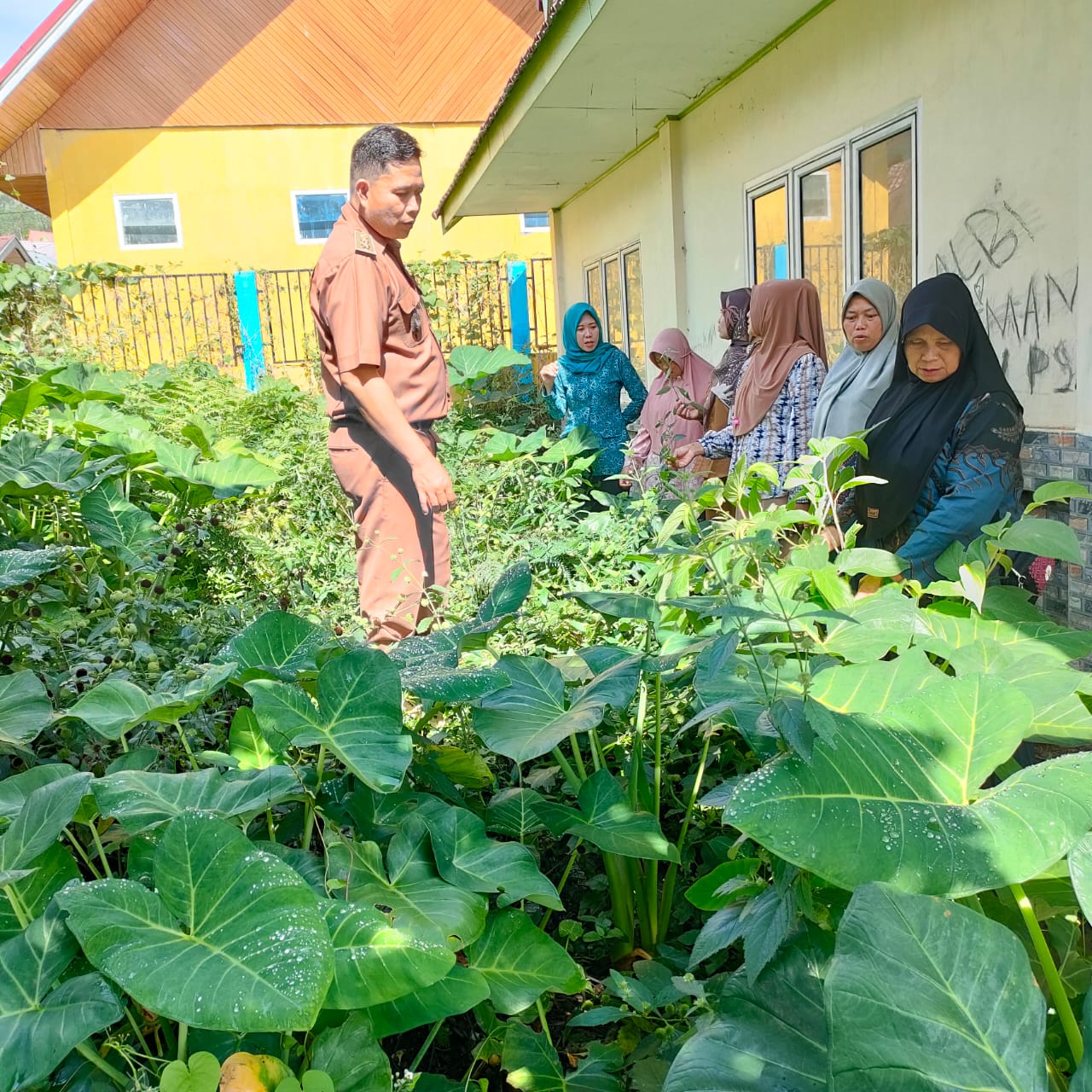 Manfaatkan Lahan Pekarangan untuk Kesejahteraan, Gerakan Produktif KWT RW 01, Kelurahan Burung Dinang 