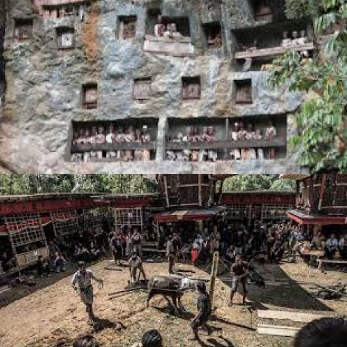 Identik dengan Tradisi Pemakaman yang Tak Lazim! Inilah 5 Keistimewaan dan Keunikan Wisata Tana Toraja