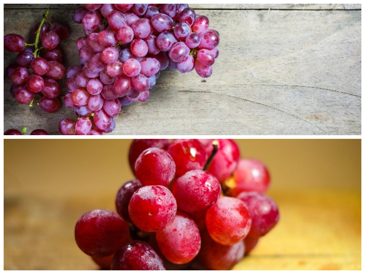 Tak Hanya Segar, Ini Deretan Khasiat Anggur Merah yang Luar Biasa bagi Kesehatan