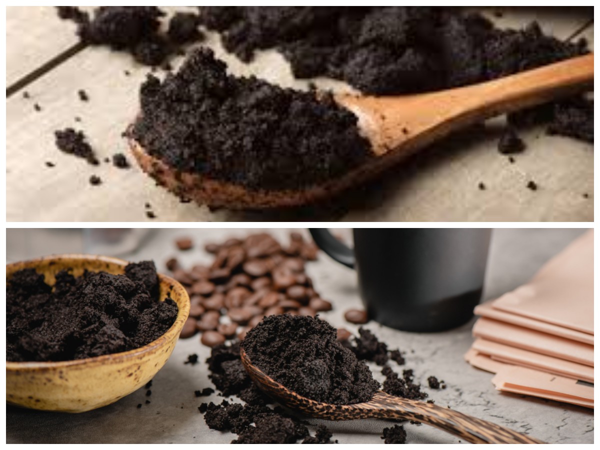 Rahasia Ampas Kopi: Manfaat Tak Terduga untuk Kulit, Tanaman, dan Rumah
