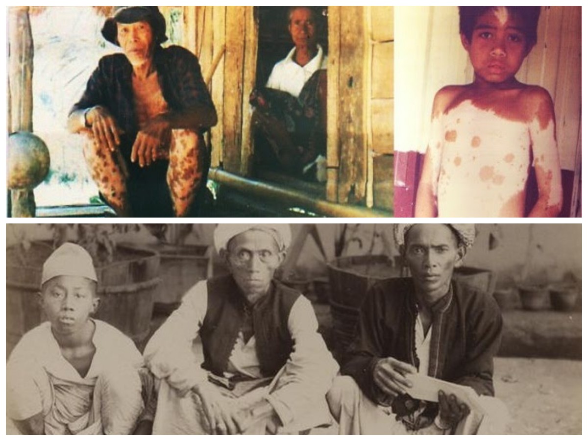 Jejak Budaya Suku Padoe: Warisan Pedalaman Sulawesi yang Menarik