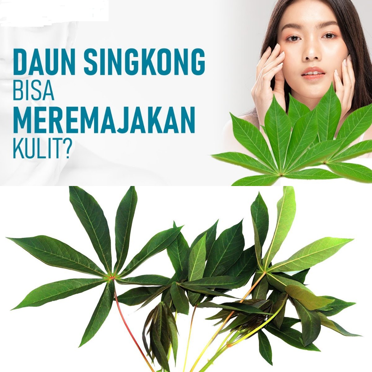 Benarkah Daun Singkong Bisa Menyehatkan? Ini 5 Manfaat Luar Biasanya!