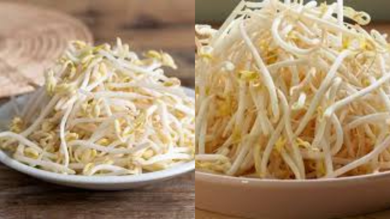 Manfaat Toge Untuk Pria, Bisa Mencegah Stroke Sampai Meningkatkan Kesuburan