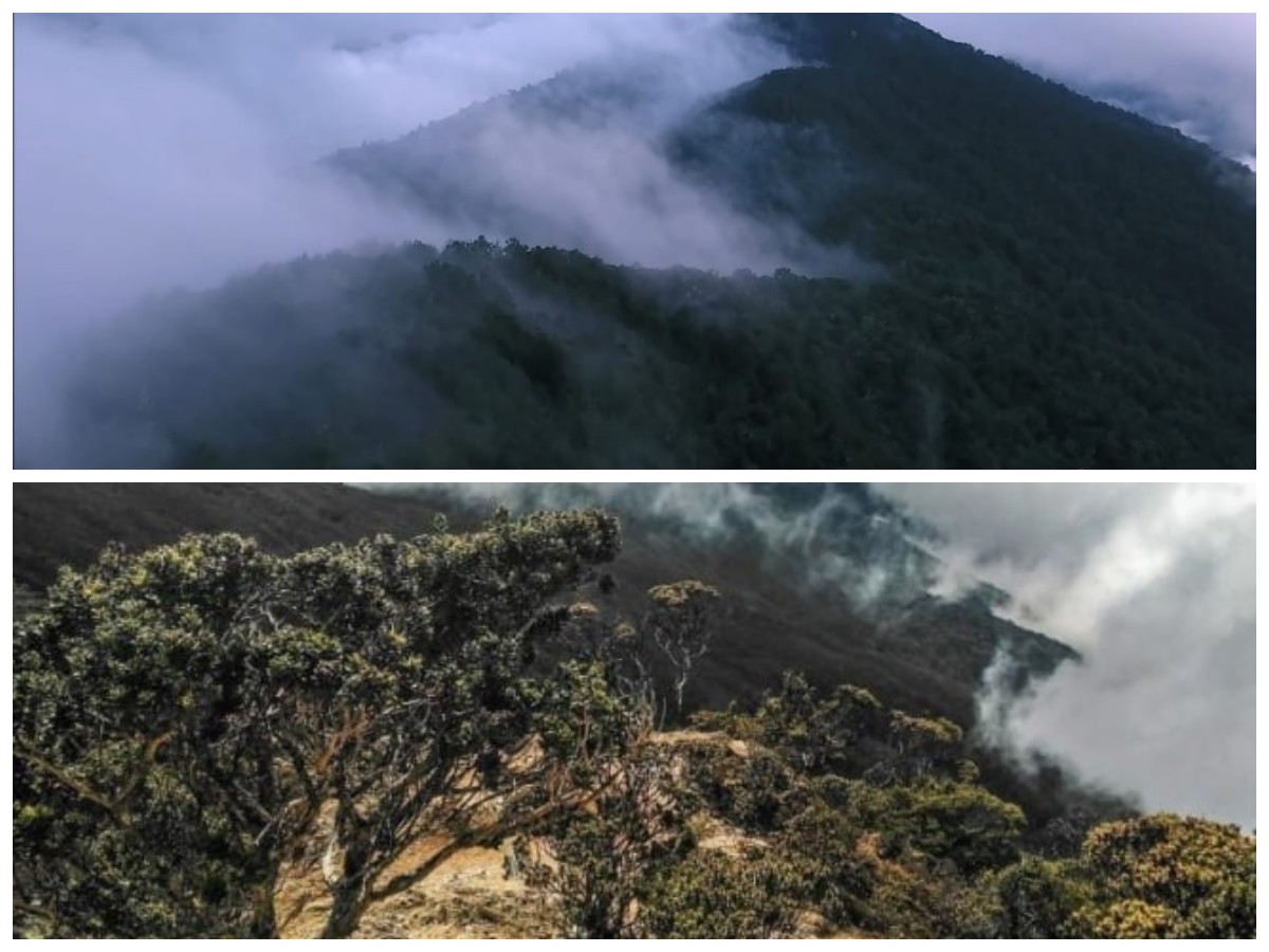 Menjelajah Gunung Latimojong: Surga Tersembunyi di Sulawesi Selatan