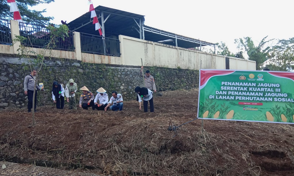 Tanam Jagung Serentak Kuartal III tahun 2025, Polsek Pagar Alam Selatan Wujudkan Swasembada Pangan