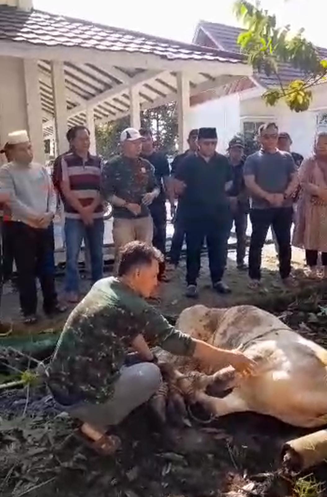 Kecamatan Dempo Tengah Salurkan Daging Kurban untuk Masyarakat