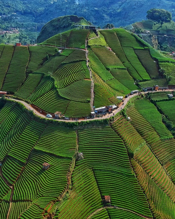 Majalengka Punya Cerita, Liburan Wisata Hits Yang Bikin Lupa Pulang