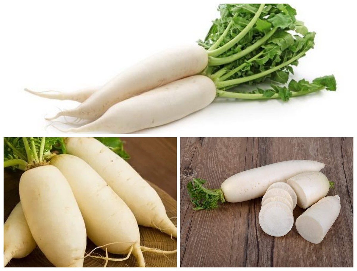 Manfaat Lobak Putih bagi Tubuh: Rahasia Sehat dari Sayuran Akar yang Sering Diremehkan!