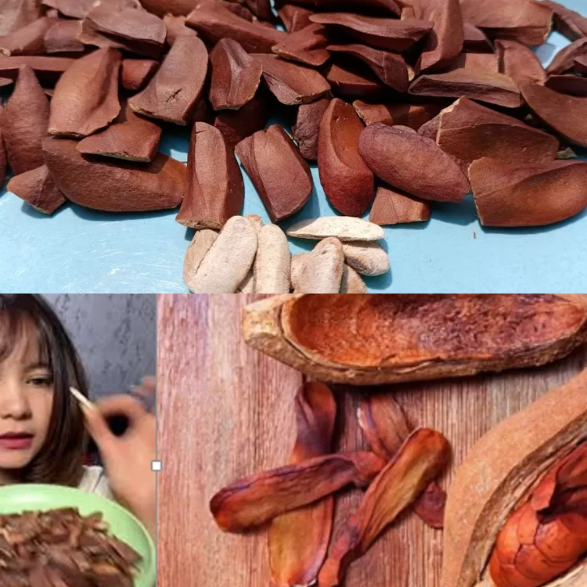 7 Manfaat Biji Mahoni untuk Kesehatan!