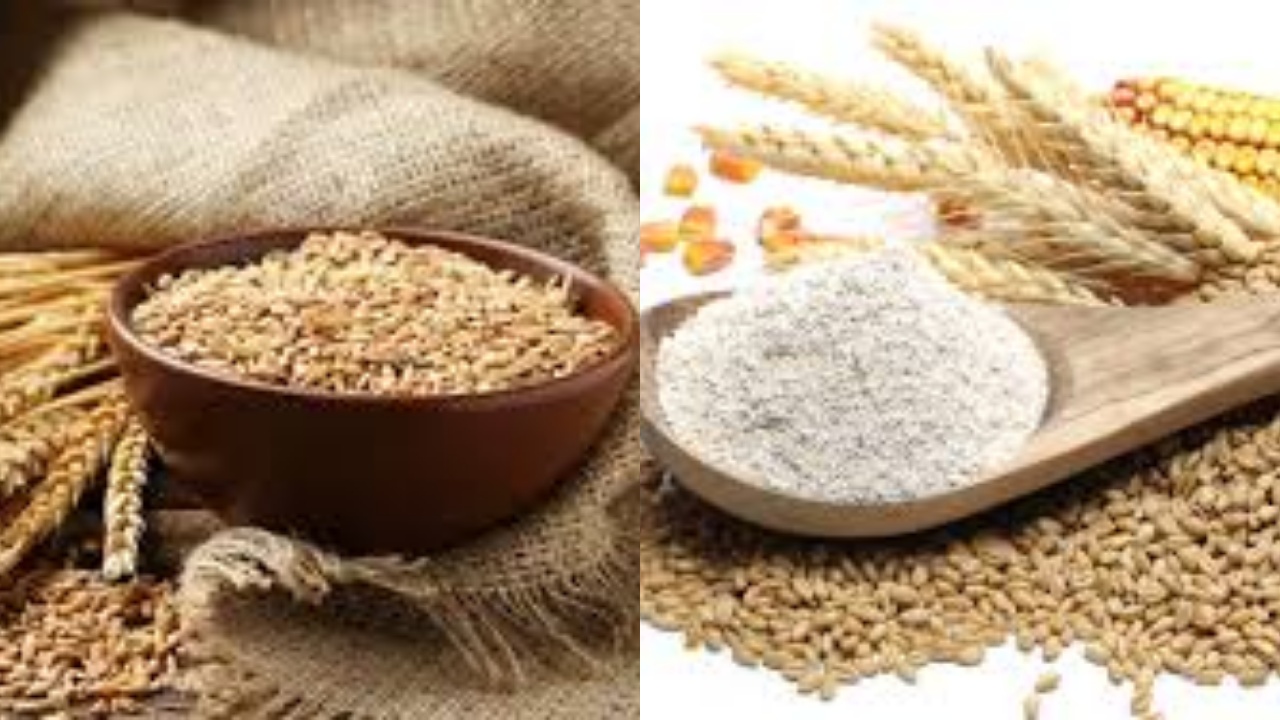 Yuk Intip! Manfaat Gandum Utuh untuk Kesehatan Yang Jarang Diketahui