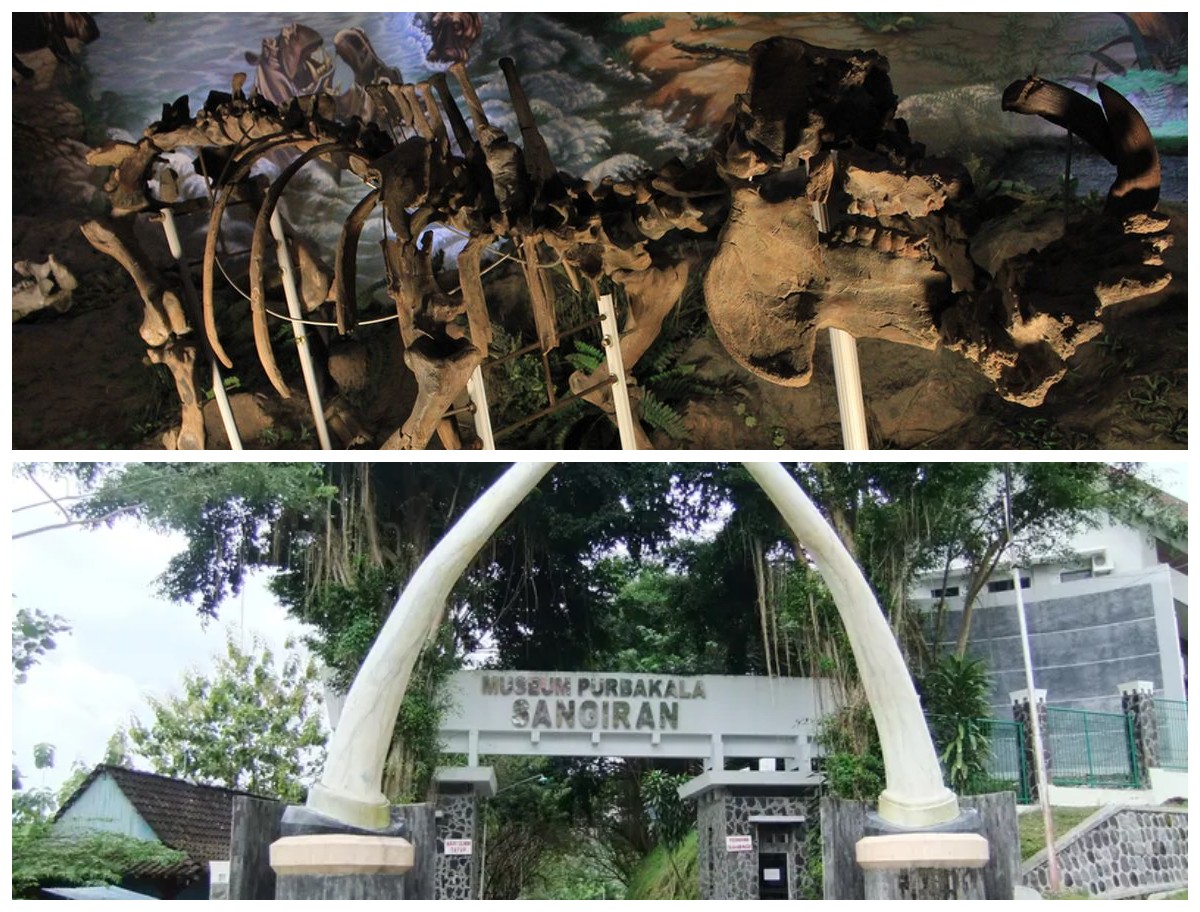 Sejarah Museum Sangiran: Jejak Awal Peradaban Manusia di Tanah Jawa!
