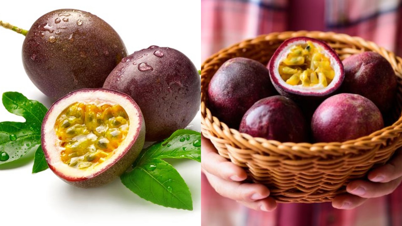 Jarang Diketahui! Inilah Manfaat Buah Markisa yang Kaya Akan Nutrisi