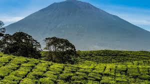 Dalam Bayang-Bayang Keindahan Gunung Kerinci Yang Diakui UNESCO, Terdapat Penghuni Gaib yang Mengerikan