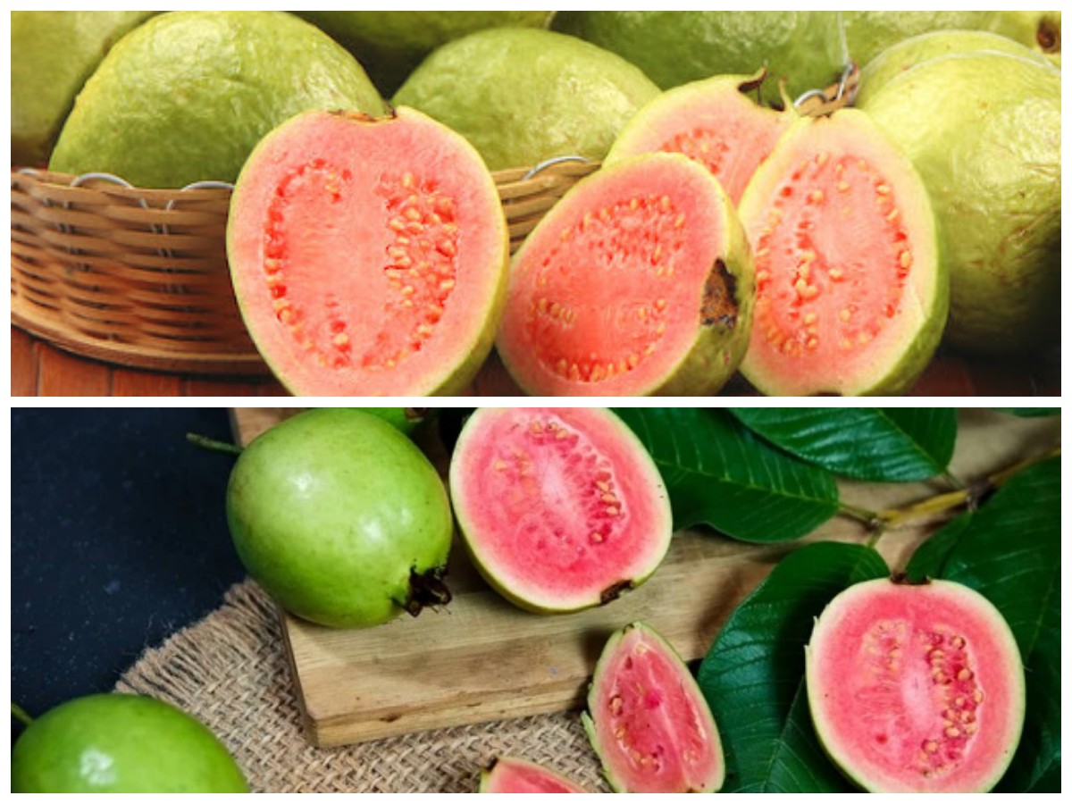 Jangan Lewatkan! Ini Dia Nutrisi dan Segudang Manfaat Jambu Biji untuk Tubuh Sehat