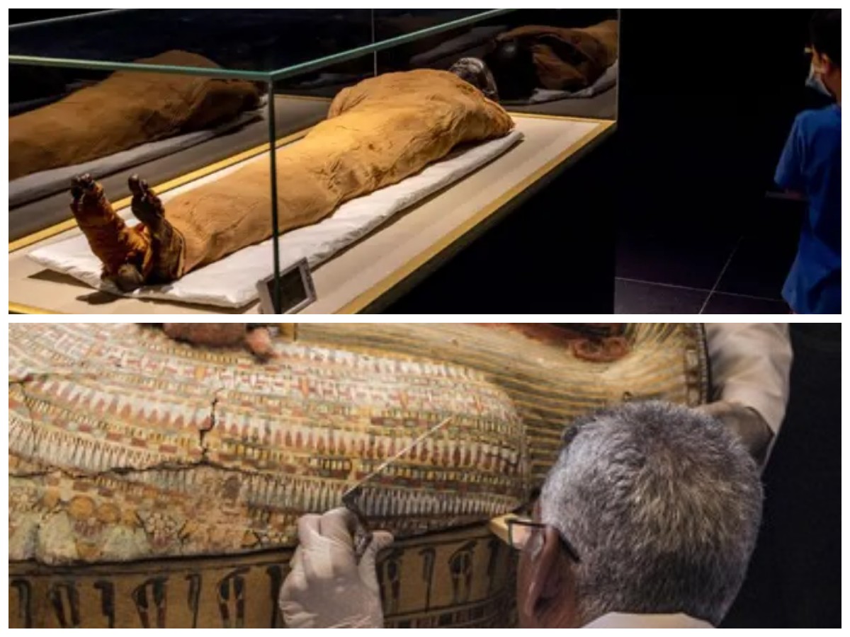 Mumi Zaman Firaun Ke-5 Ditemukan: Mengungkap Misteri Makam Kuno di Mesir