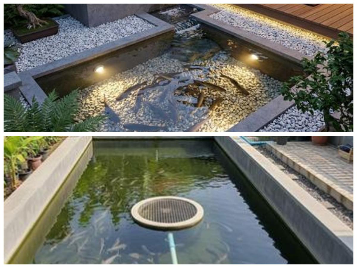 9 Model Kolam Ternak Lele Sekaligus Taman Air, Tren Budidaya Estetik