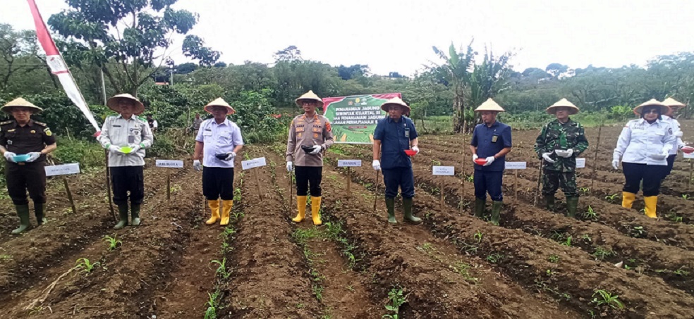 Tanam Jagung Serentak Kuartal III se-Indonesia, Polres Pagar Alam Siapkan Lahan 17,6 Hektar