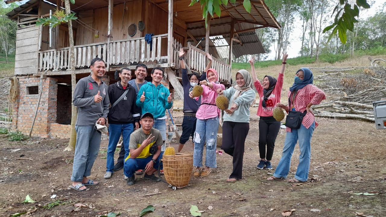 Intip Keseruan Tim Pagaralam Pos Channel 'Hunting' Durian di Lubuk Selo