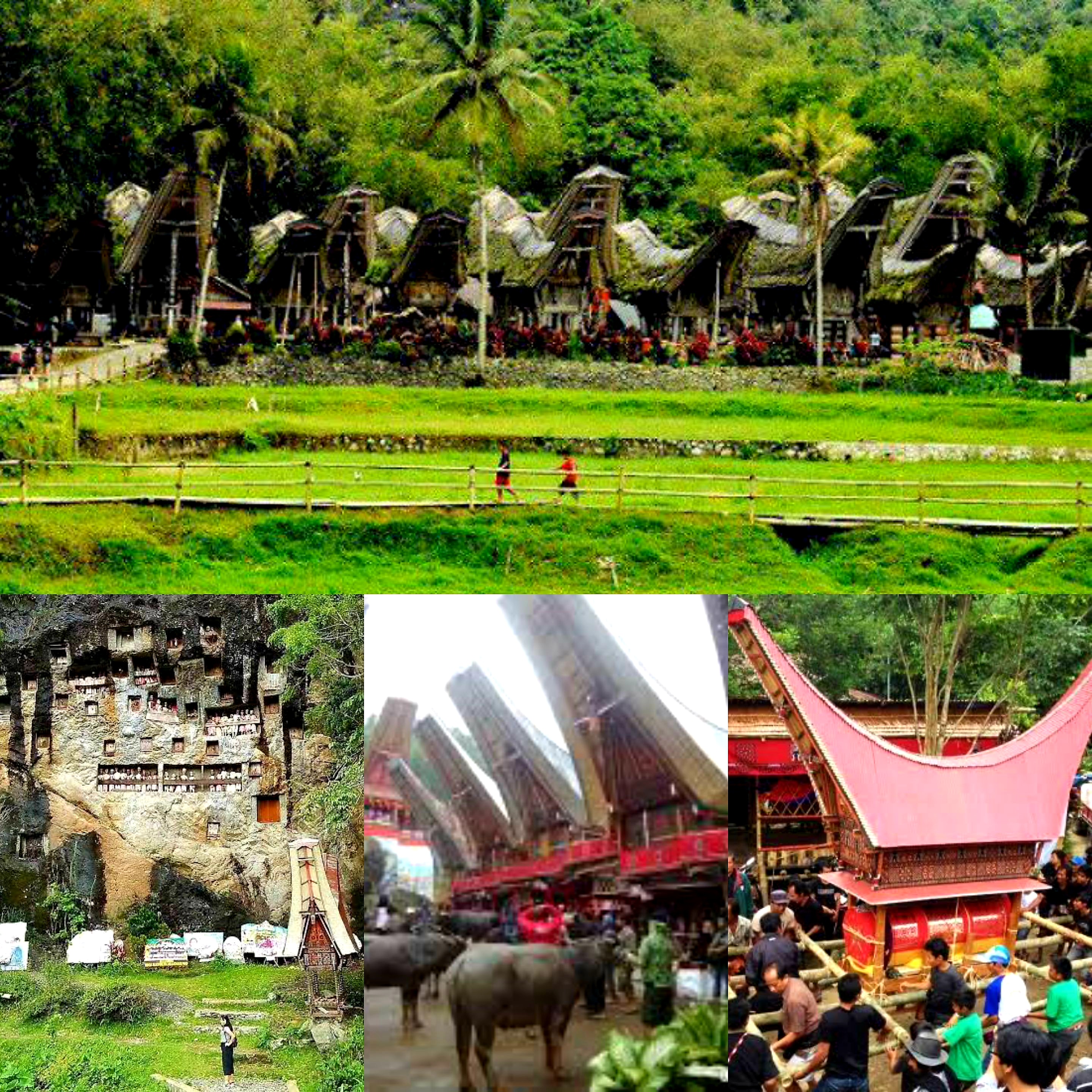 4 Destinasi Tana Toraja yang Gak Boleh Terlewati Jika Berkunjung ke Tana Toraja
