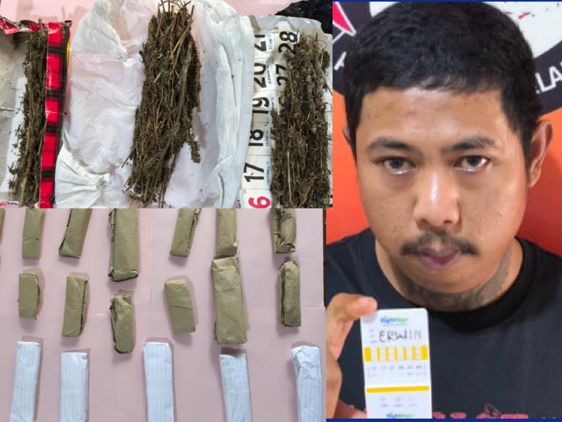 Pengedar Ini Gagal Transaksi, Petugas Temukan Paketan Ganja Sebanyak Ini