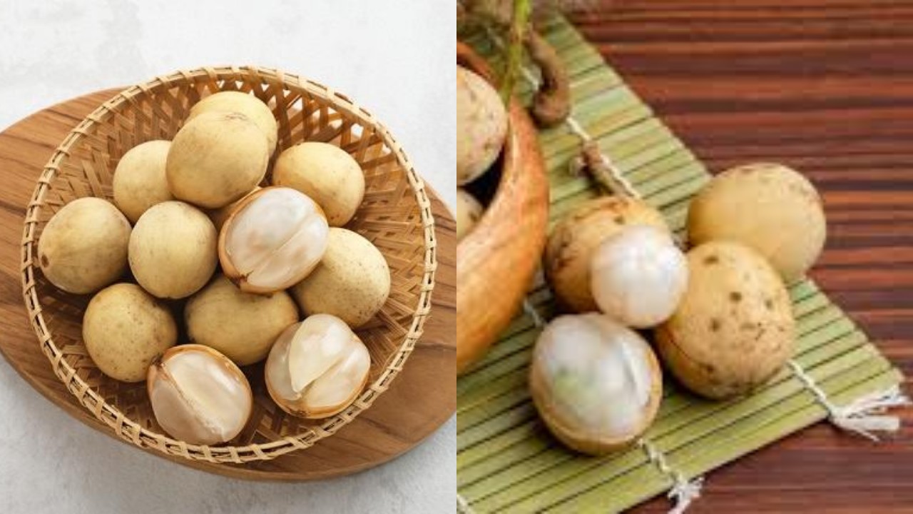 Buah Duku, Si Kecil yang Kaya Nutrisi dan Bermanfaat untuk Kesehatan!