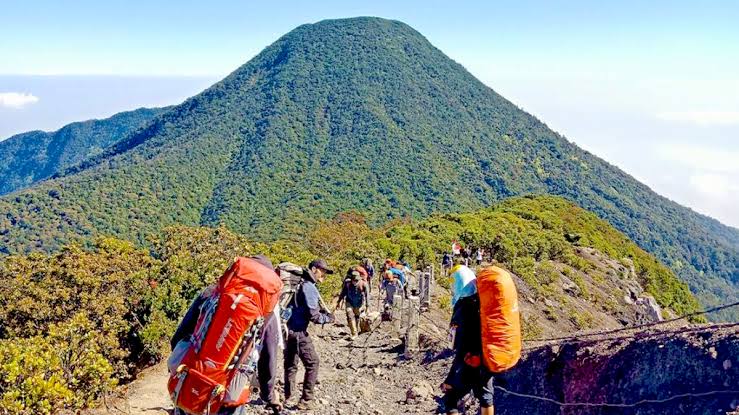 Kabar Gembira Bagi Pendaki, Gunung Gede Pangrango Kembali Dibuka