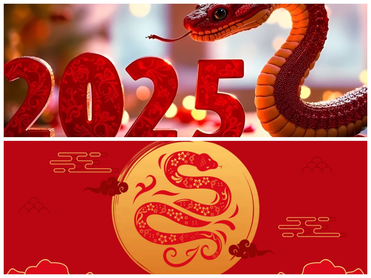 Shio dan Angka Keberuntungan 2025: Apa yang Dibawa Tahun Ular Kayu untukmu?