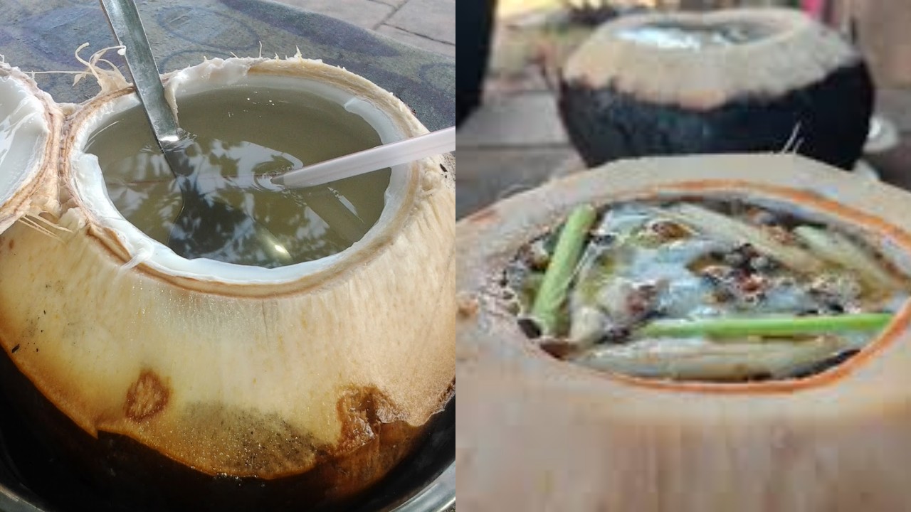 Wajib Dipelajari! Manfaat Dari Kelapa Bakar bagi Kesehatan Tubuh