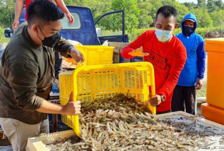 KKP Ungkap Dampak Perppu Ciptakerja untuk Ekonomi Biru