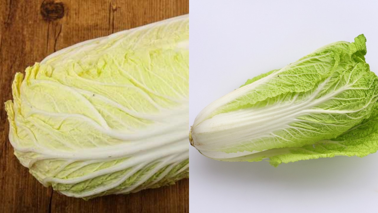  Kaya Nutrisi, Inilah Manfaat Sawi untuk Kesehatan yang Wajib Kamu Tahu!