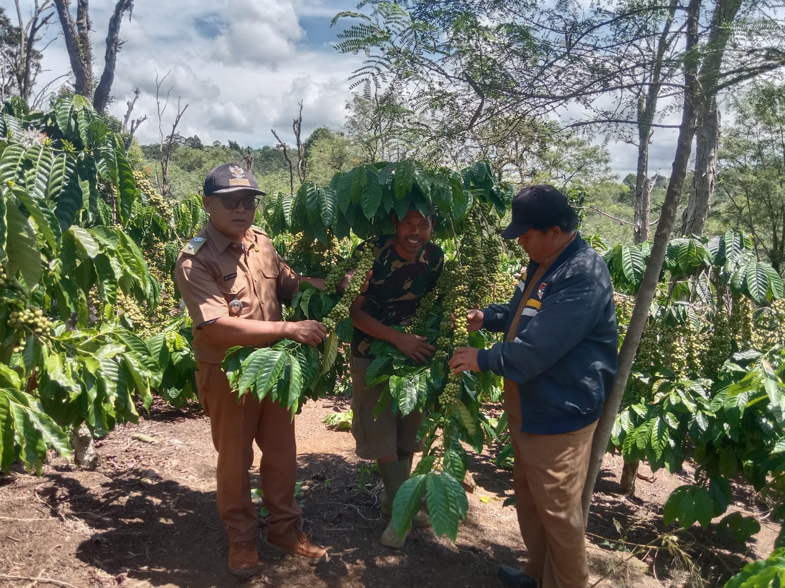 Berhasil Budidayakan Kopi, Lurah Muara Siban Apresiasi Warga