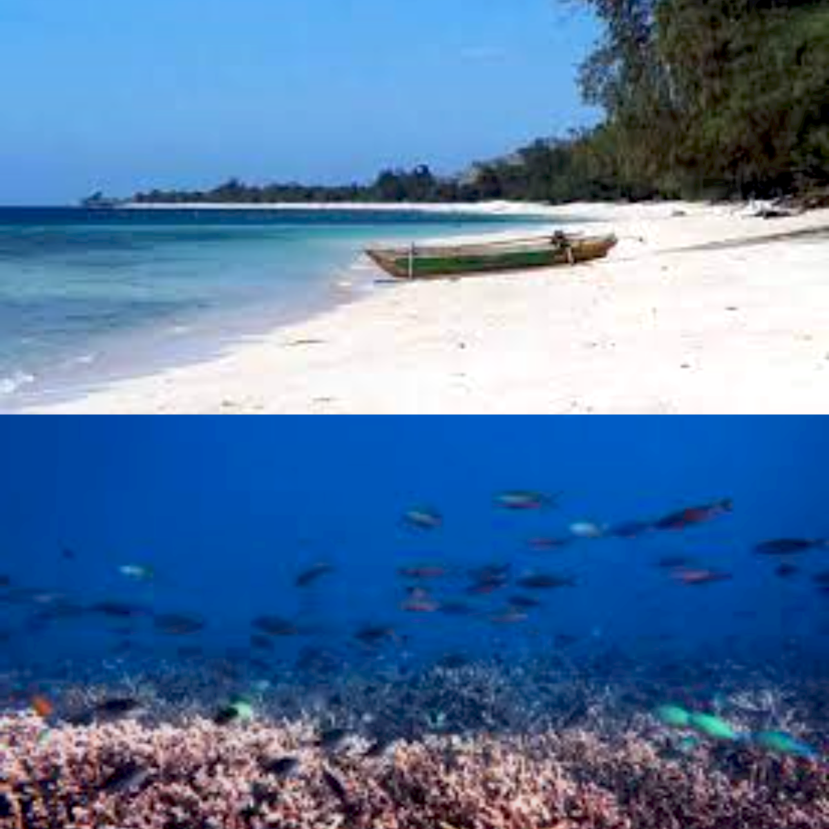 Eksplorasi Keindahan Alami, Inilah Keunikan Pantai Puru Kambera di Pulau Sumba!
