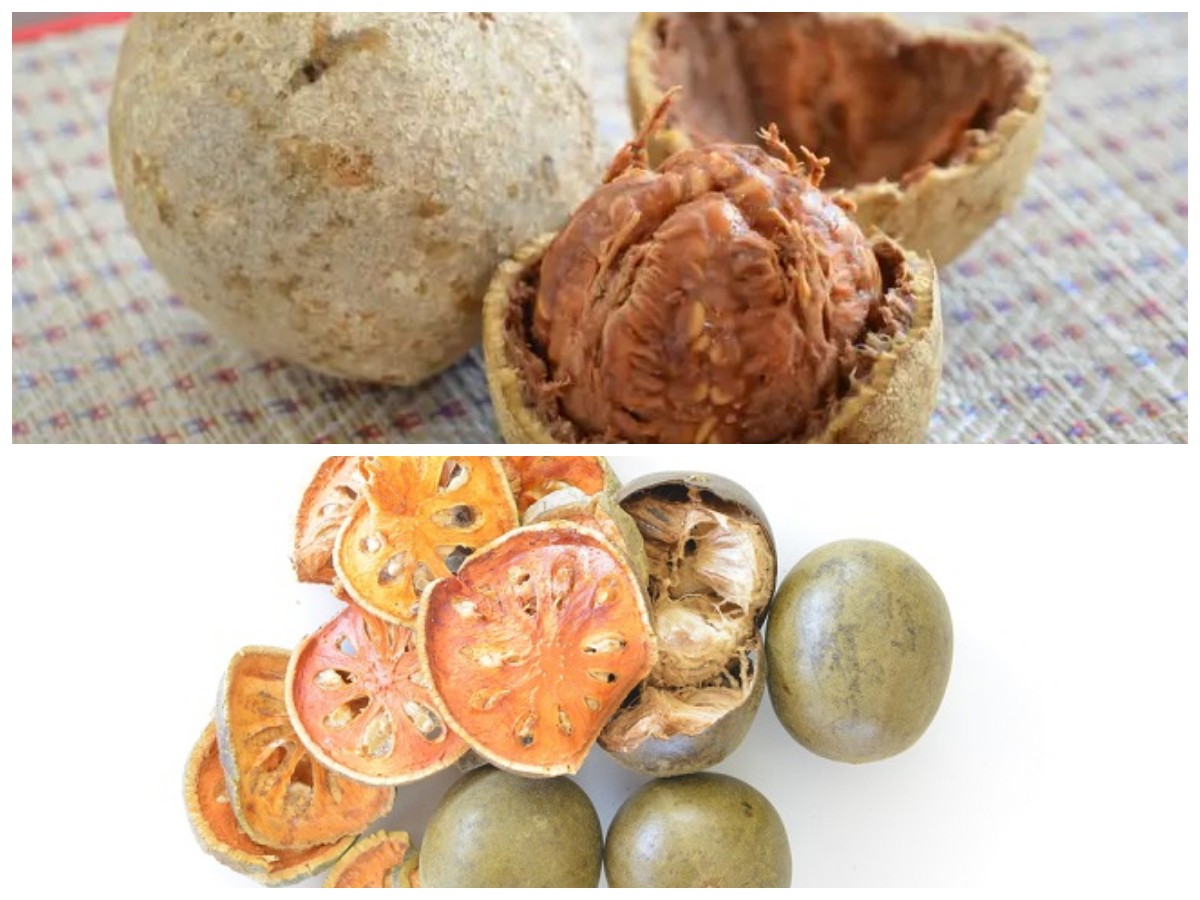 Rahasia Sehat Buah Kawista: 6 Khasiat Penting untuk Tubuh dari Pencernaan hingga Jantung