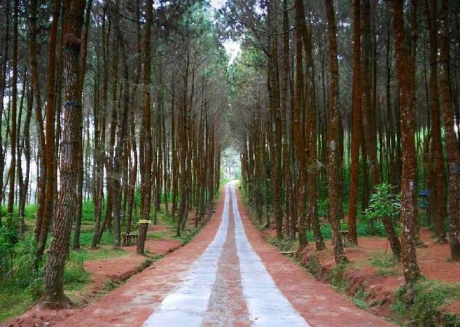 Dibalik Keindahan Gunung Arjuno yang Melekat akan Hal Mistis!