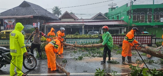 Polsek – BPBD Gerak Cepat Atasi Pohon Tumbang, Jhon Hasman : Waspada Cuaca Ekstrem