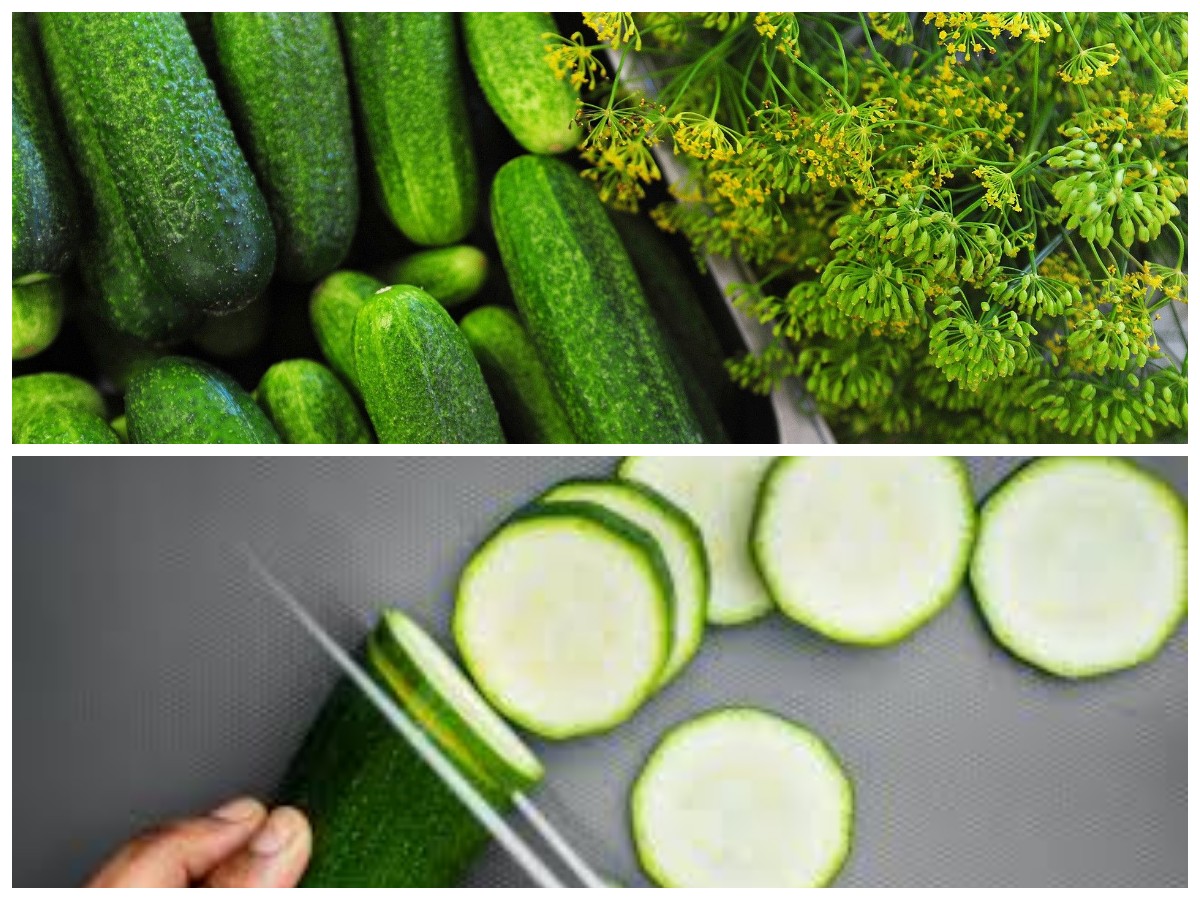 Rahasia Timun untuk Tekanan Darah Stabil: Manfaat dan Cara Konsumsi yang Tepat