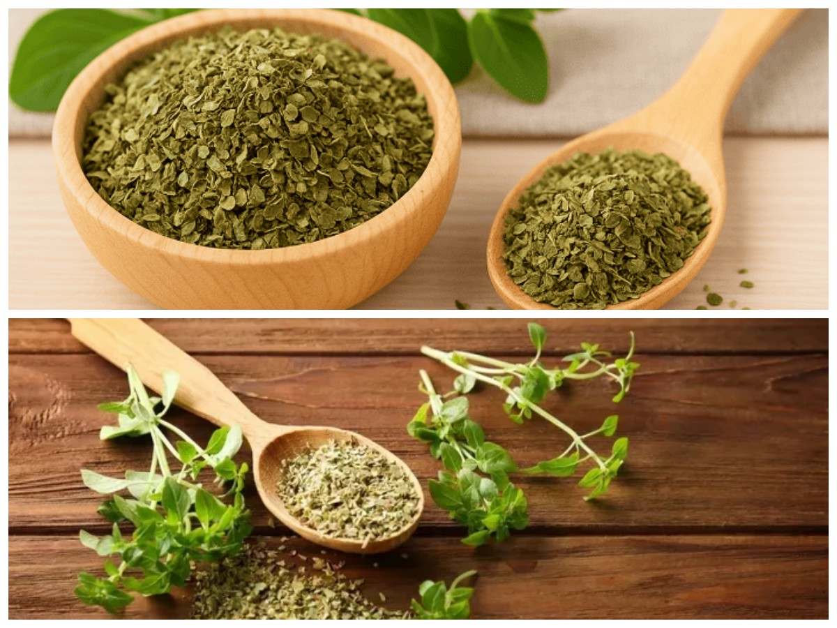 Kenali Khasiat Teh Oregano yang Menakjubkan untuk Kesehatan Tubuh