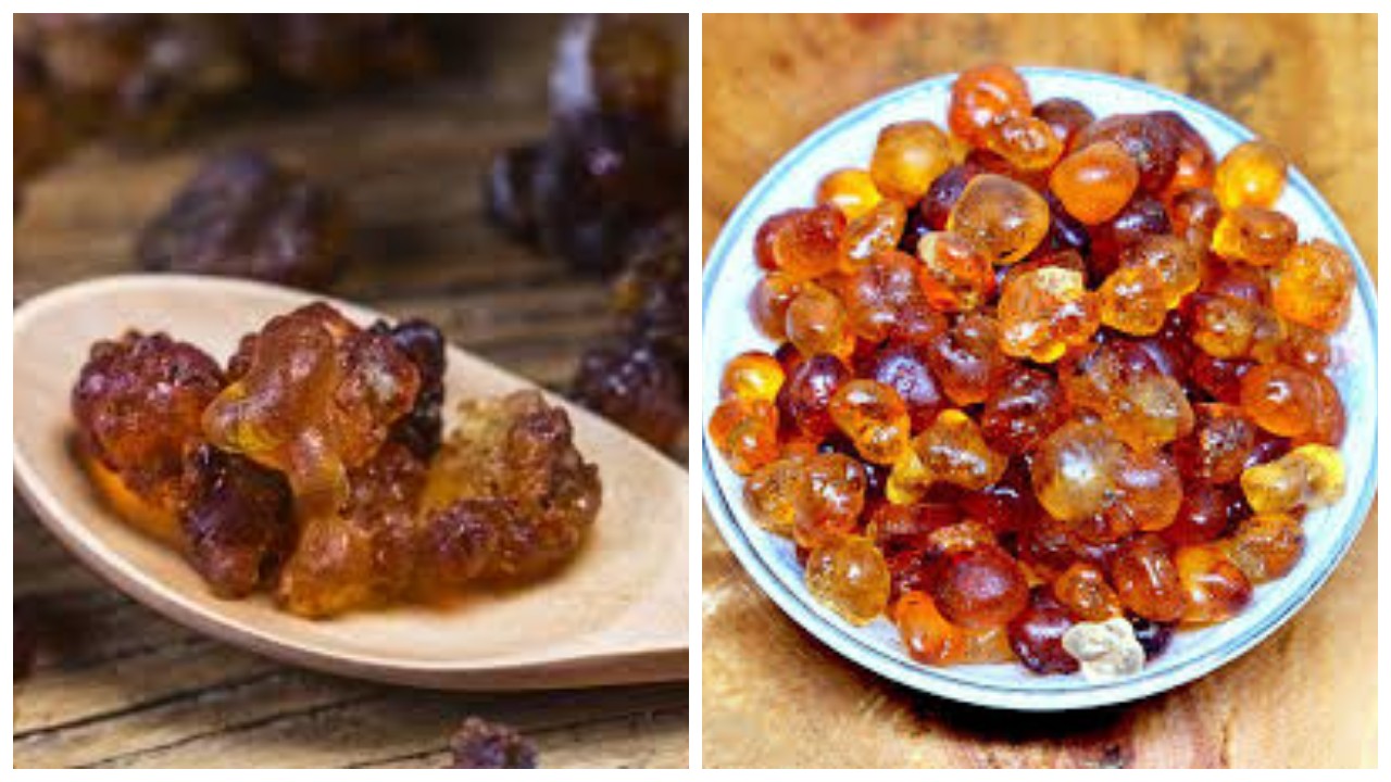 Getah Persik, Berikut Berbagai Manfaatnya bagi Kesehatan Tubuh