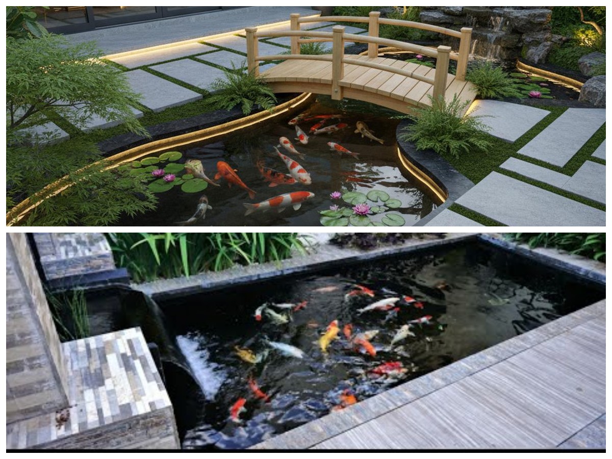 Sentuhan Alami untuk Rumah: Inspirasi Kolam Ikan Natural Estetik yang Mudah Dibangun