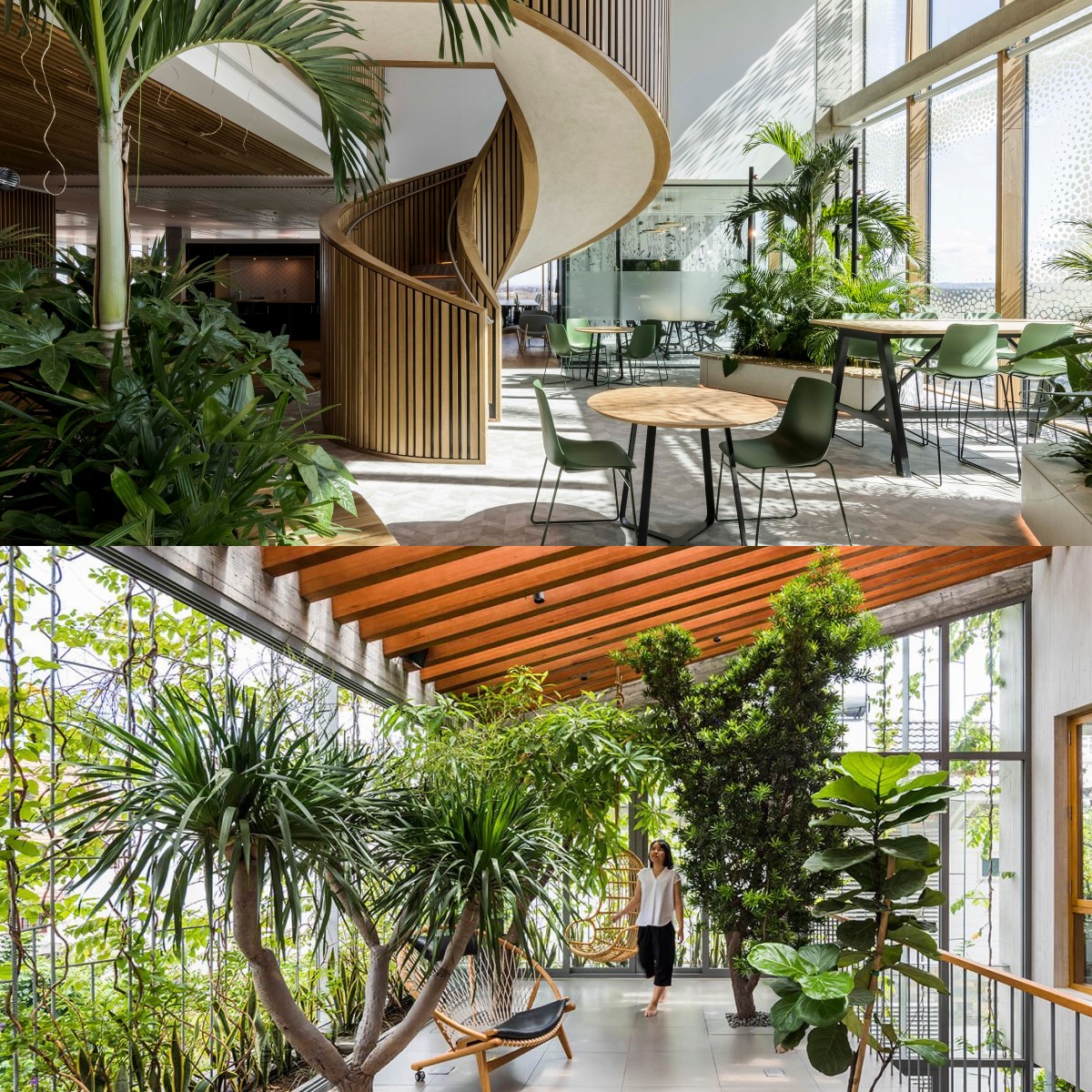 Desain Biofilik Kian Populer, Ini Alasan Rumah Penuh Tanaman Dipercaya Bikin Umur Lebih Panjang