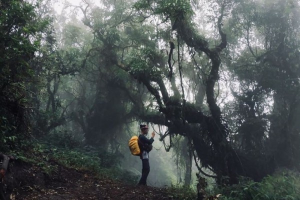 Penuh Hawa Mistis, inilah 4 Tempat Paling Angker di Gunung Lawu