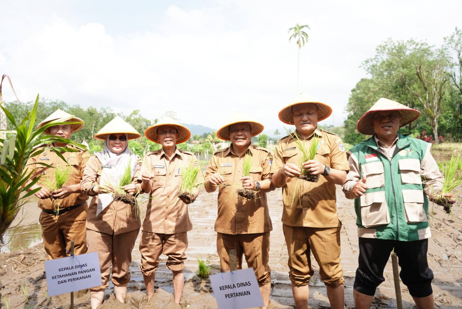 Hadapi El Nino, Pemkot Pagar Alam Dukung Swasembada Pangan Nasional