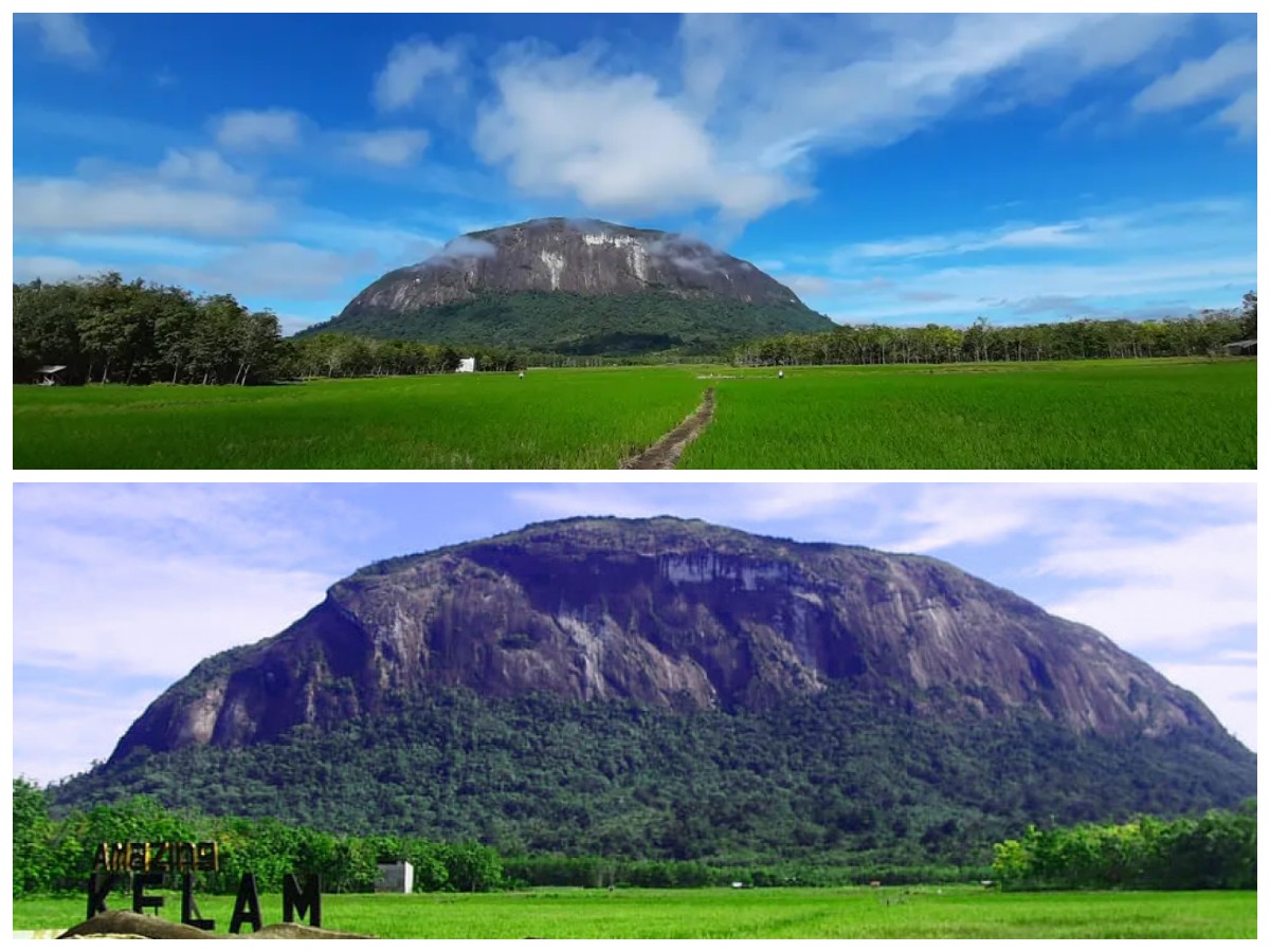 Eksplorasi Gunung Bukit Raya: Kekayaan Hayati dan Jejak Budaya Dayak di Puncak Kalimantan