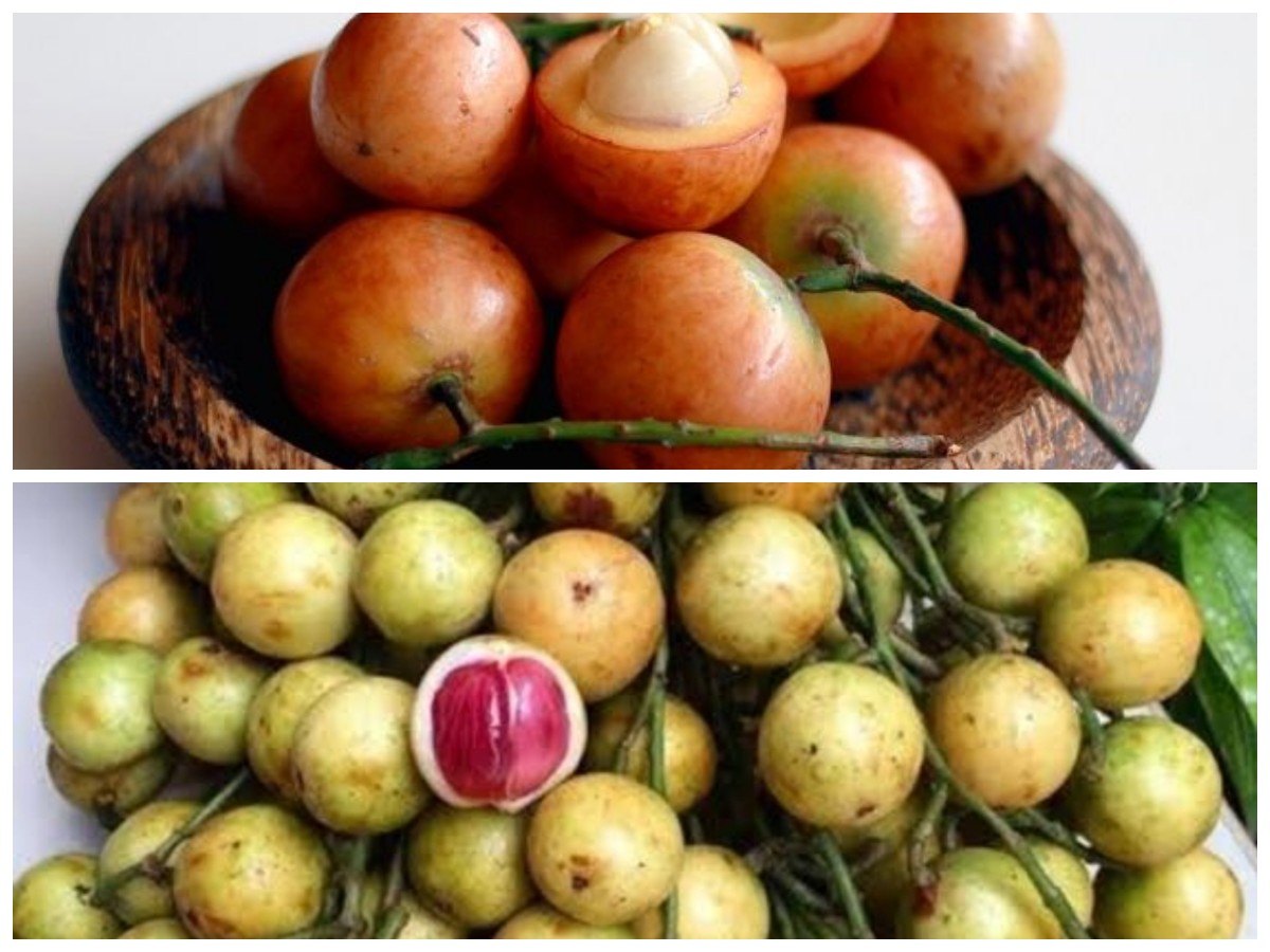 Tak Banyak yang Tahu, Ini Deretan Manfaat Buah Menteng bagi Kesehatan!