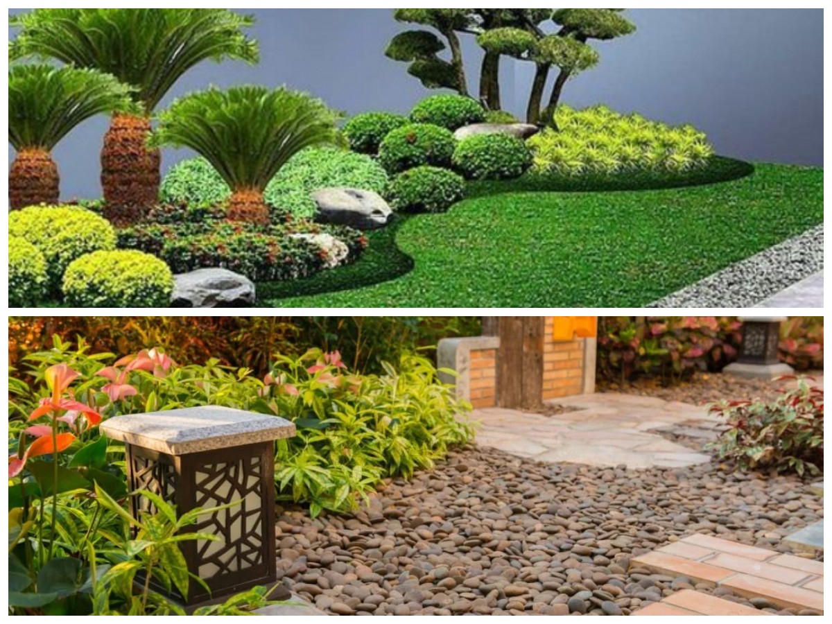 Inspirasi Taman Depan Rumah Kecil yang Cantik dan Mudah Dirawat