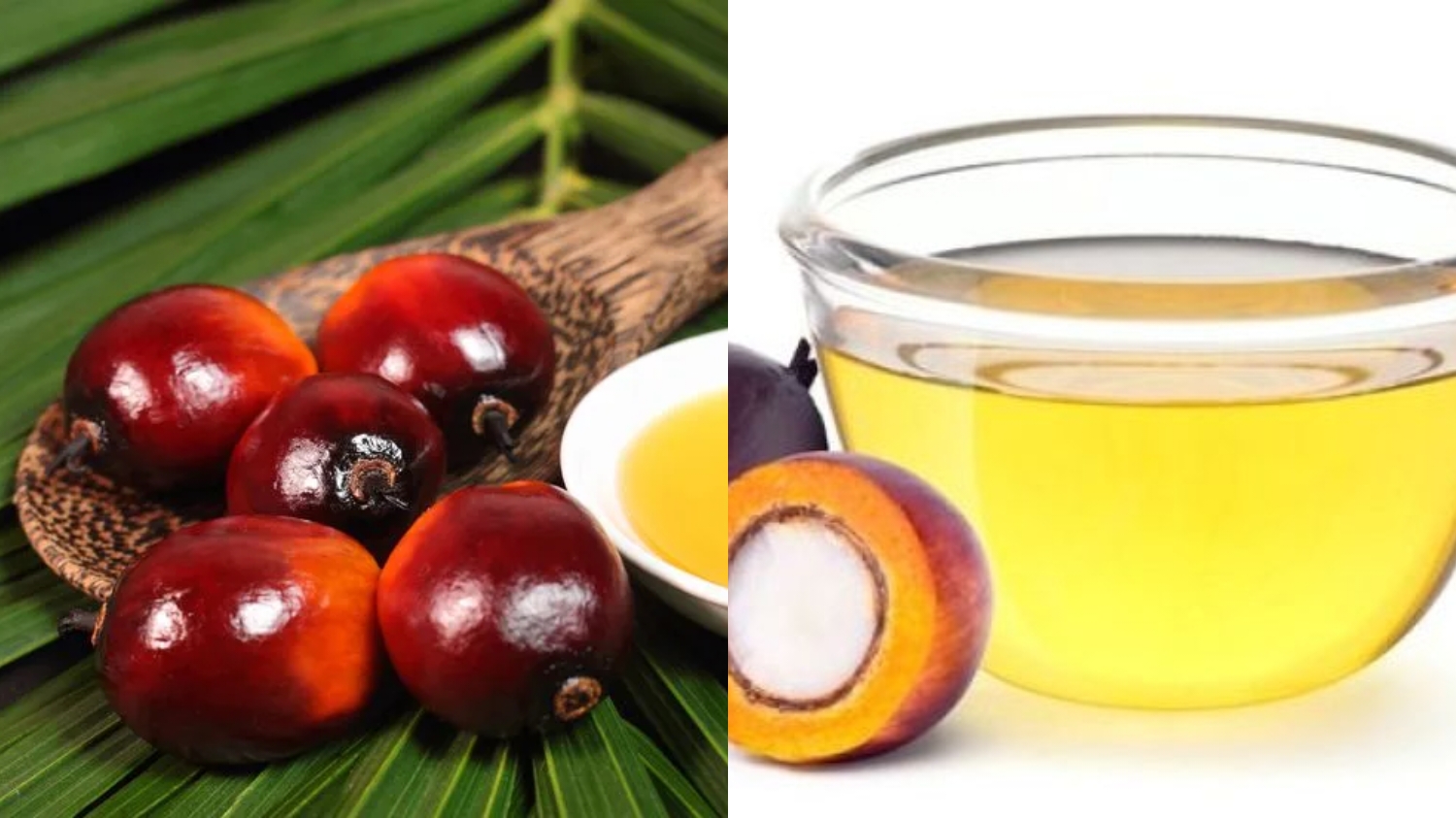 Stabilitas Panas Tinggi Inilah Manfaat Dari Minyak Kelapa Sawit Yang Jarang Diketahui! 